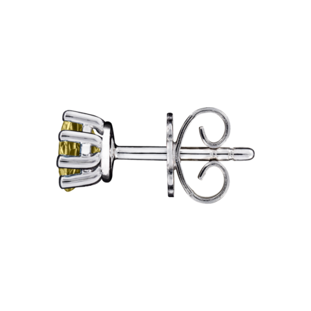 Stud Earrings 6 Prongs Sapphire yellow in White Gold